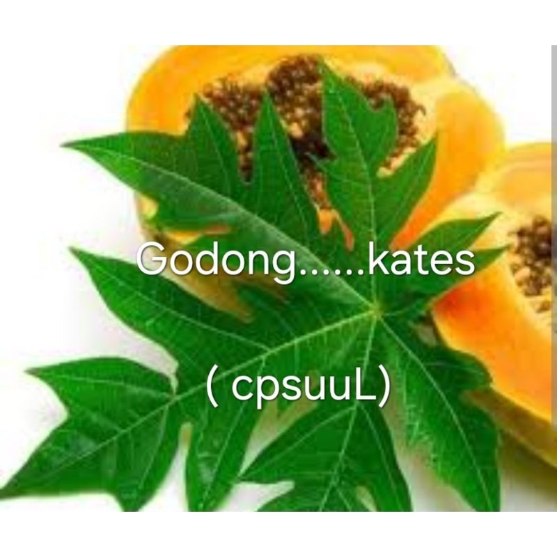 

cod kates dan godong nya