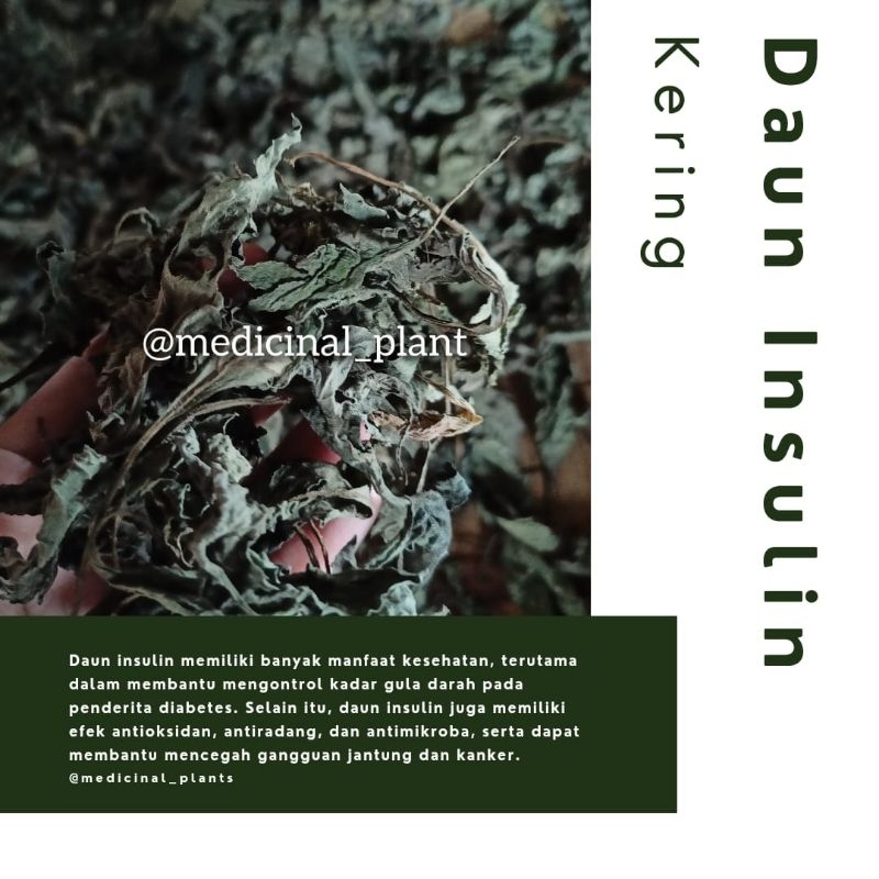 

Daun Insulin Kering per 50 gr
