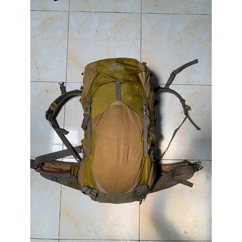 Gregory Z 45 Carrier