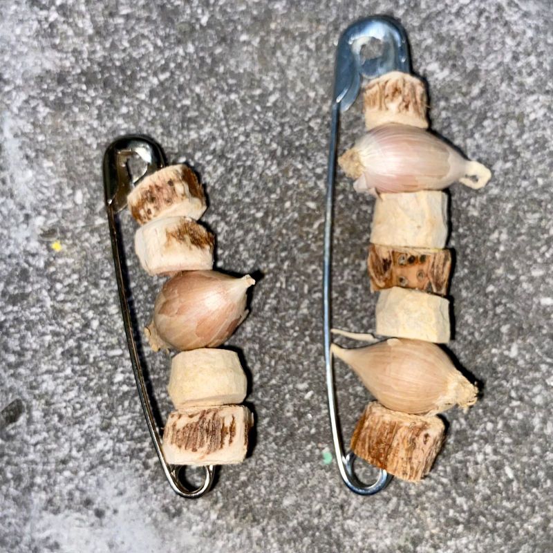 

PENITI DLINGOBENGLE BAWANG LANANG // DLINGOBENGLE// BAWANG TUNGGAL