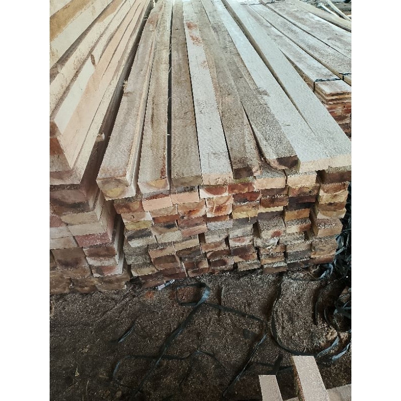 Balok 5x10x400 putihan kayu campur sejenis harga perkubik