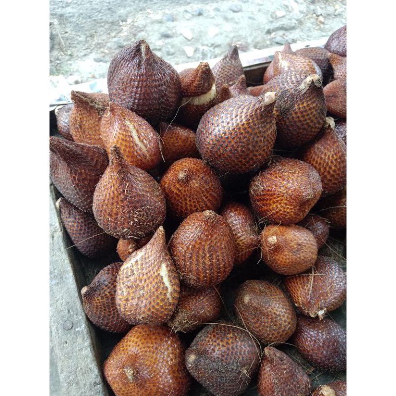 

salak manis