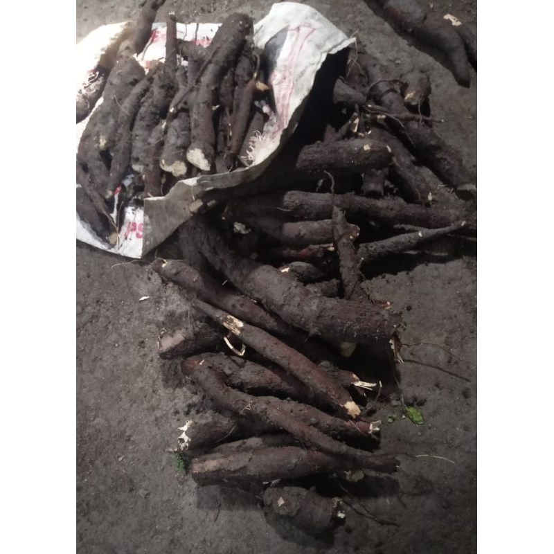 

puhong/singkong ketan 1kg