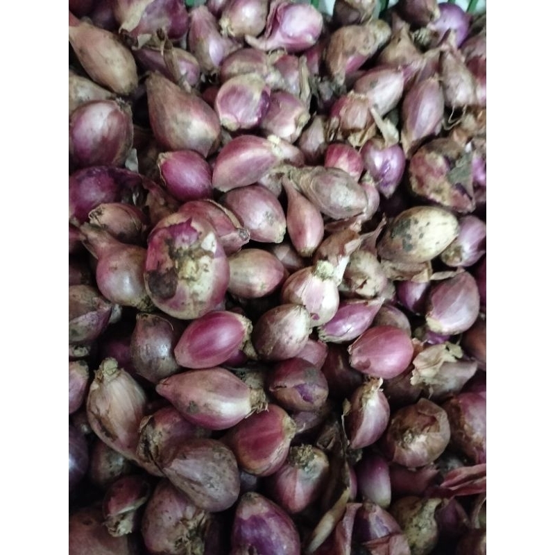 

Bawang Merah Murah Meriah