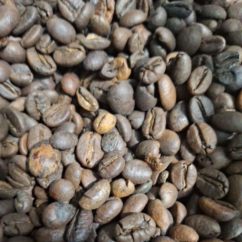 

Kopi Gayo Robusta Premium