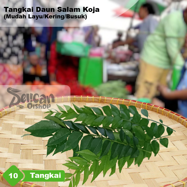 

Daun Salam Koja Kari Temuruy 10 Tangkai Obat Herbal Rempah Masakan Gulai