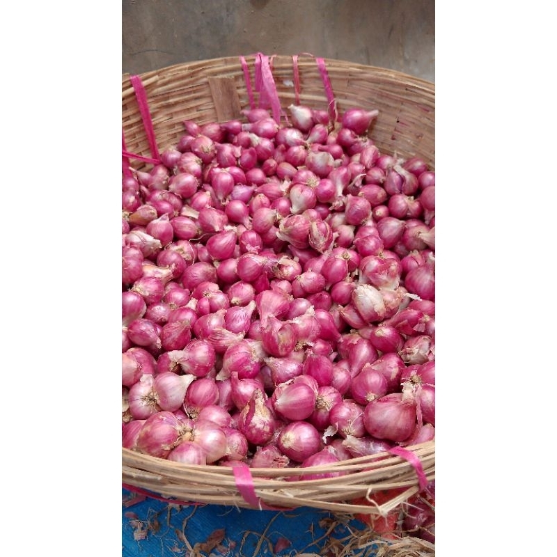 

BAWANG MERAH PROTOL(BESAR TANGGUNG) 1KG-500GR