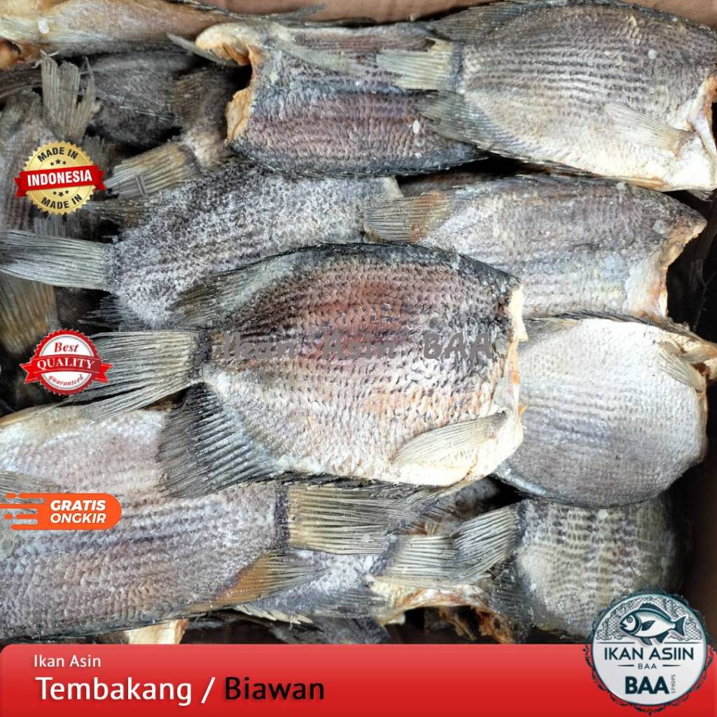 

Ikan Asin Tembakang / Biawan Size Jumbo Asli Kalimantan Kualitas Premium 250gram, 500gram, 1kg