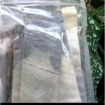 

ikan talang super/janphu/yenpou/ikan jambal roti