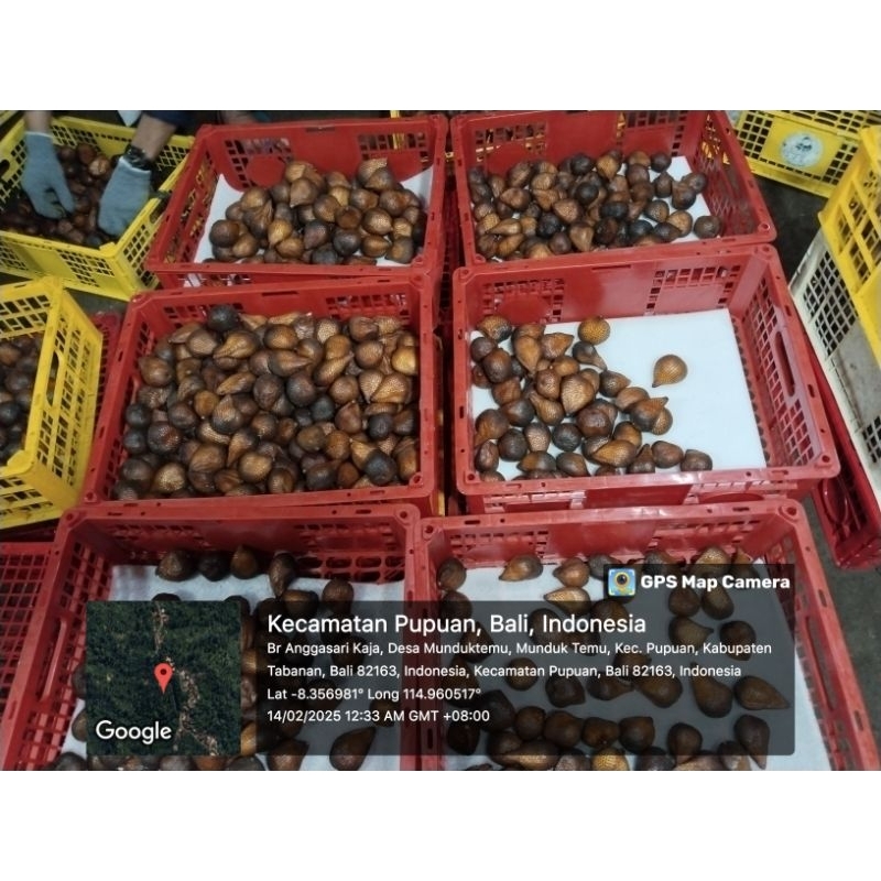 

salak gula, pasir bali