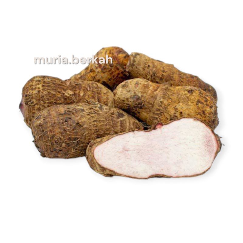 

Ubi Talas Muria Cuci Bersih Pulen Enak 500 Gram