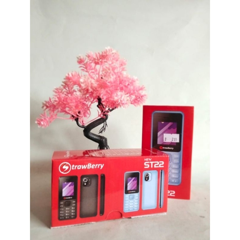 strawberry st22