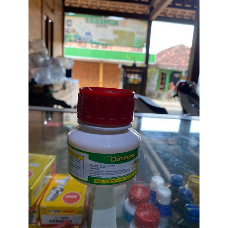 herbisida Command obat rumput di padi, kacang