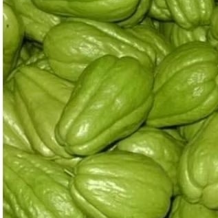 

labu Siam kecil/labu baby