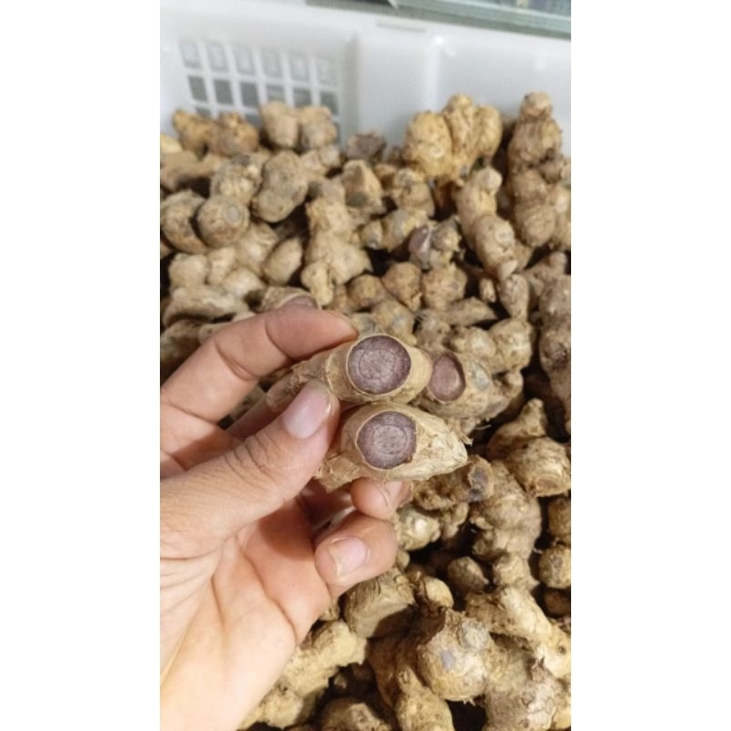 

kunyit hitam asli original 100% 10kg