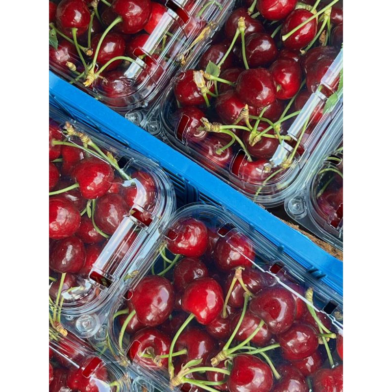 

Fresh Cherry USA 250gr/pck