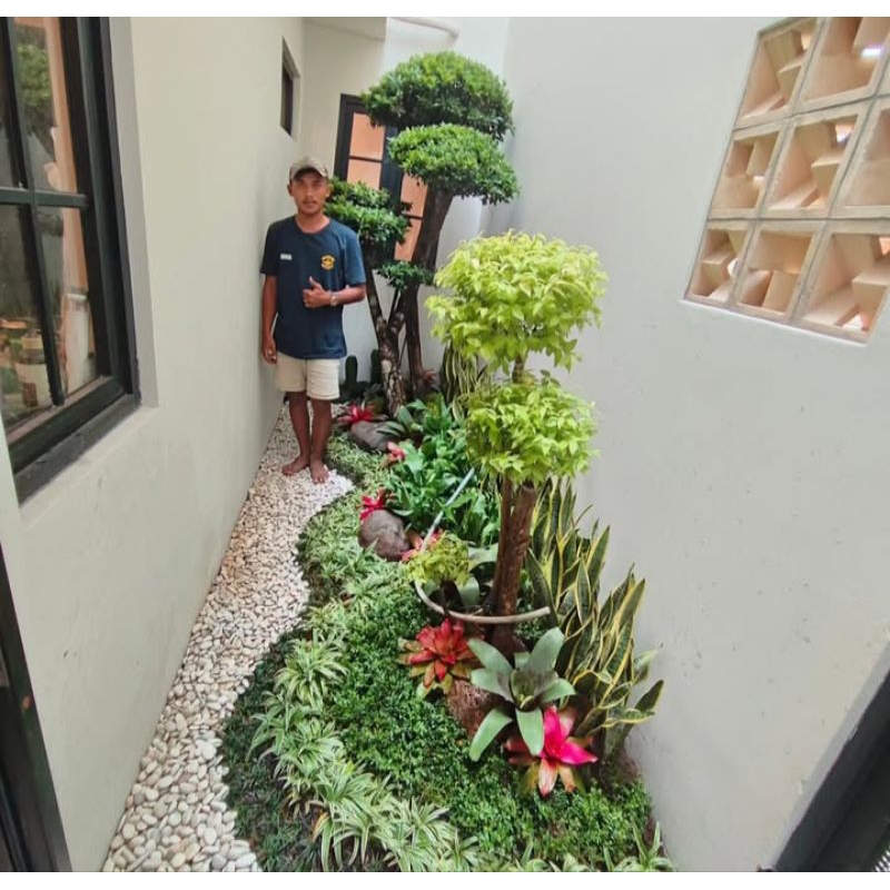 jasa pembuatan taman rumah/taman minimalis