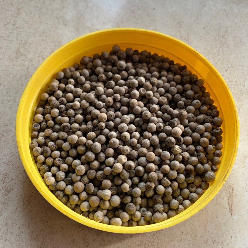 

Merica (Lada) Rempahlu - 100gr | Lada Murni Kering Asli Lumajang, Pedan dan Wangi