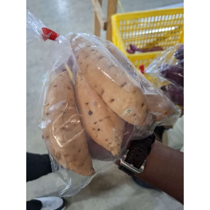 

Ubi Cilembu Oven Kualitas Terjamin!