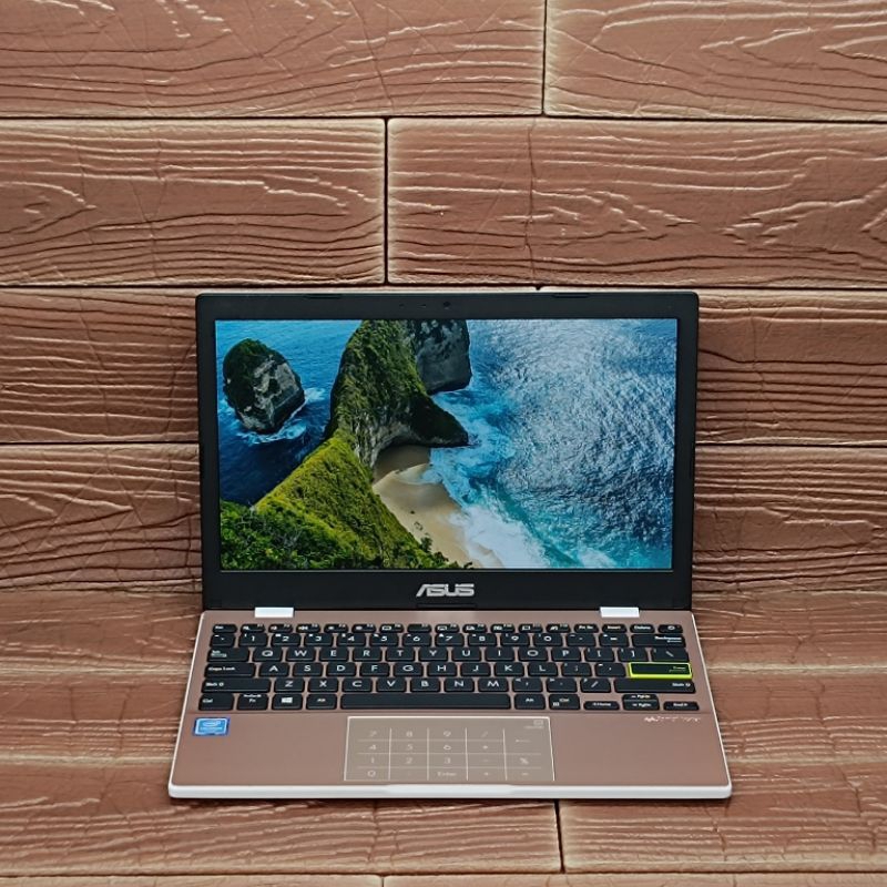 Asus Vivobook E210MA Intel Celeron N4020 RAM 4GB SSD 256GB