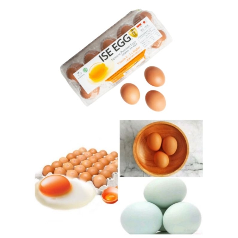 

Telur Ayam Negeri | Telur Ayam Omega | Telur Bebek Tawar Mentah | Telur Premium Jepang - isi 10 Butir
