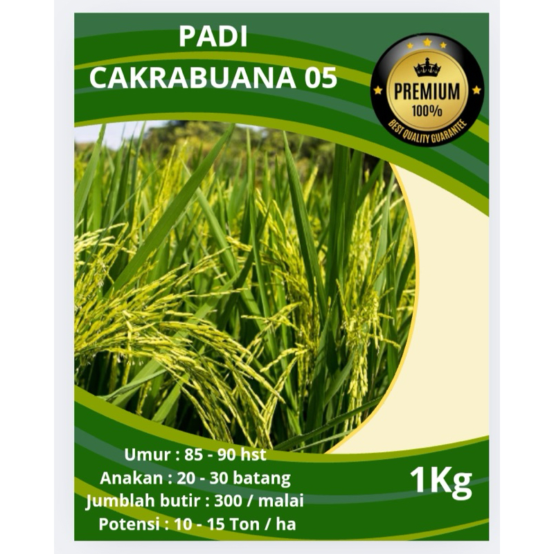 Benih bibit padi super cakrabuana 05 unggul original 100% berkualitas kemasan 1kg
