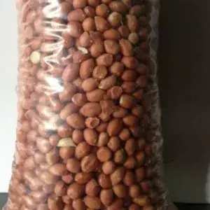 

kacang tanah belum kupas