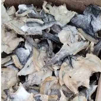 

ikan asin gabus super/ikan gabus kering/ikan gabus enak