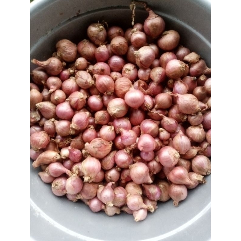

bawang merah berkualitas/ 1 kg