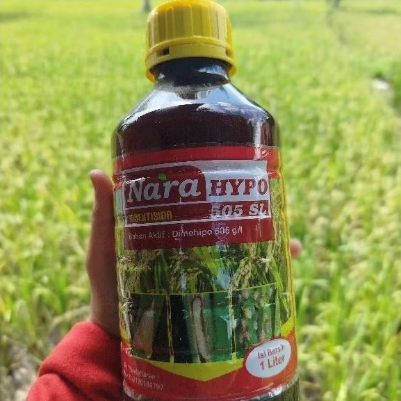 Narahypo Narahipo 1liter ORIGINAL Insektisida 505 SL Bahan Aktif Dimehipo 505 G/L Basmi Hama Wereng 