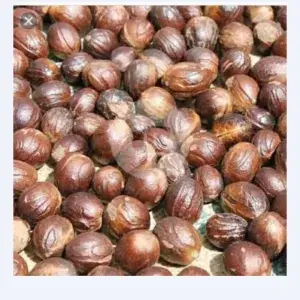 

Biji pala/biji