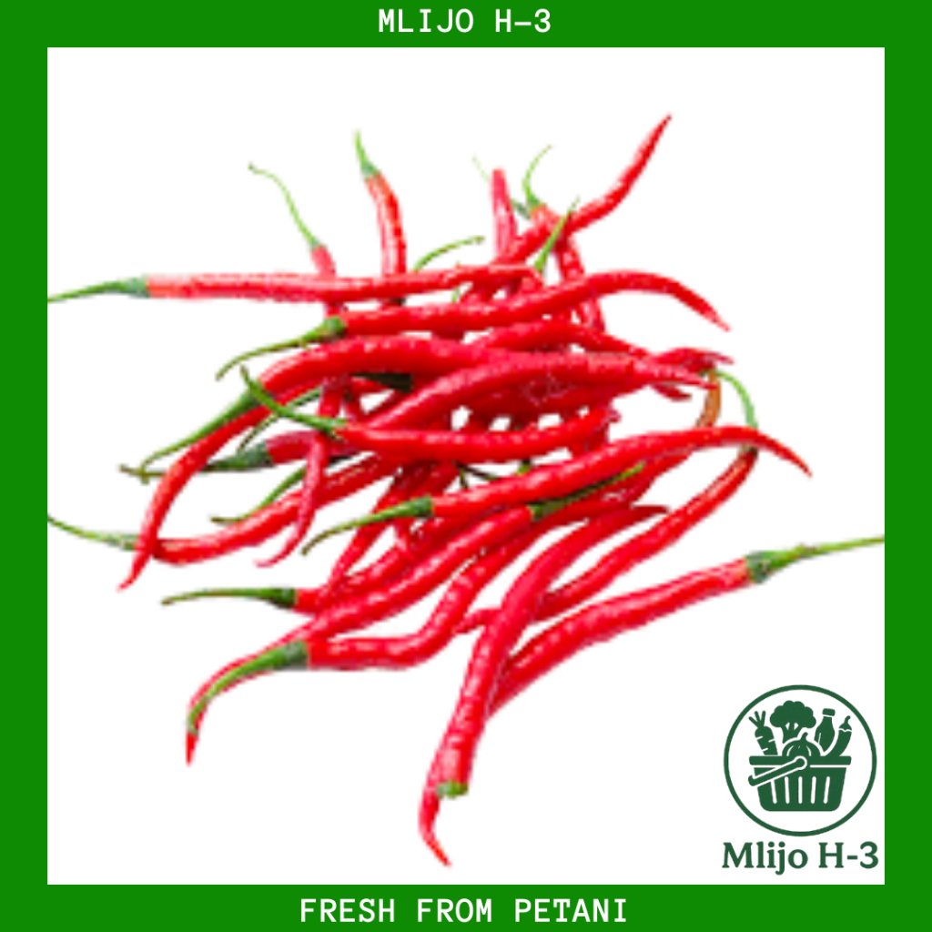

Cabe Keriting Segar, 100 gr, 250 gr
