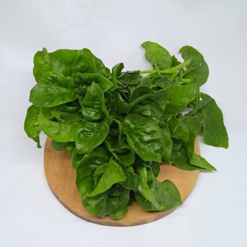 

Sayur Bayam Brazil Organik Tanpa Pestisida - Pitikampung