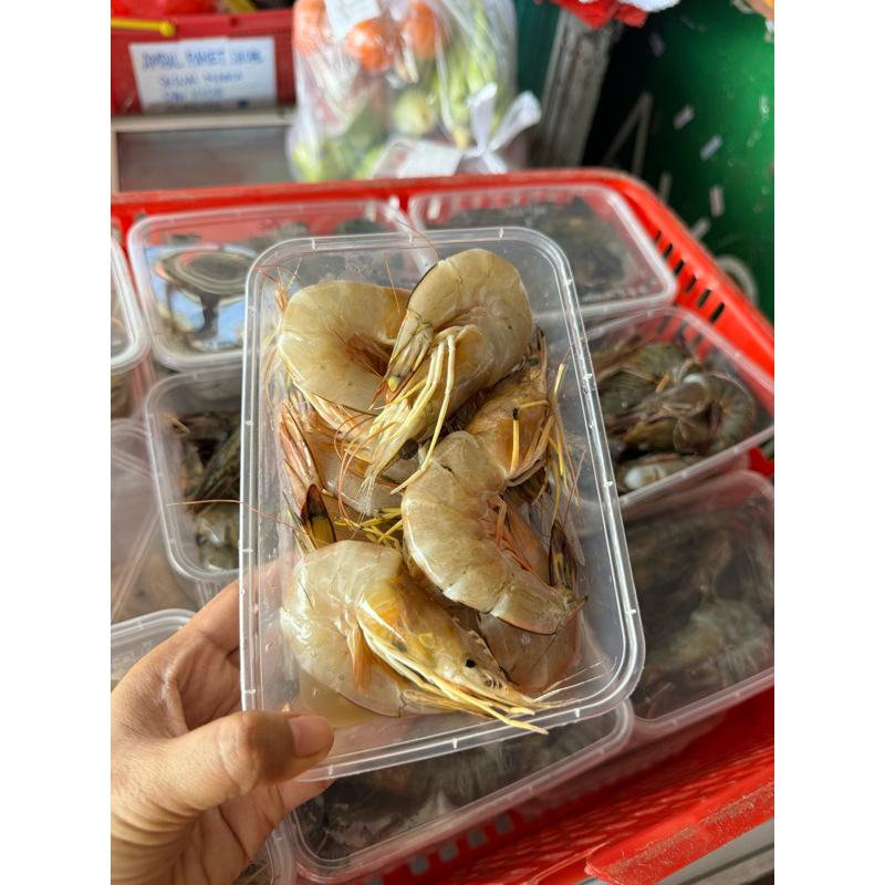 

udang white frozen 400gr