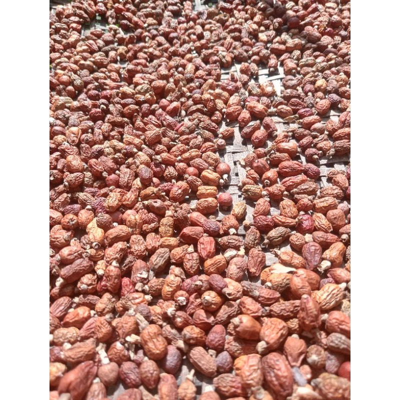 

Kembang lengkuas/kembang laja kering herbal alami 100 gram