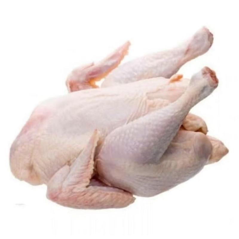 

Ayam potong segar 700gr-800gr / 900gr-1.000gr / 1.100gr - 1.200gr / Ayam Karkas / Ayam Broiler / Ayam Segar / Ayam potong