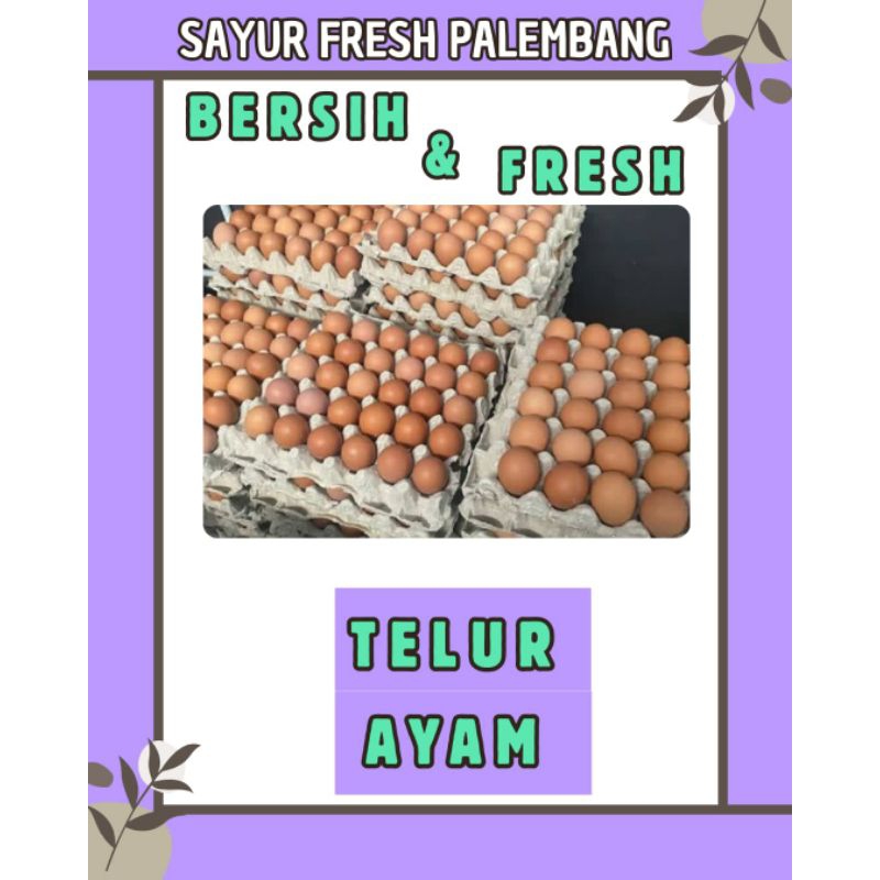 

TELUR AYAM FRESH & BERSIH - PALEMBANG