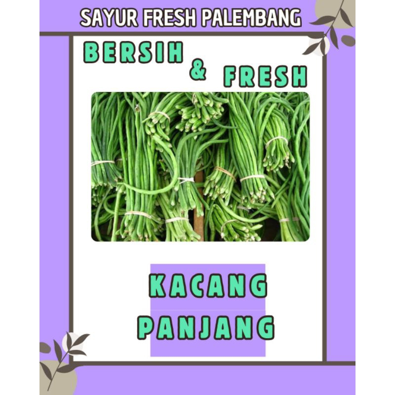 

KACANG PANJANG BERSIH & FRESH - PALEMBANG