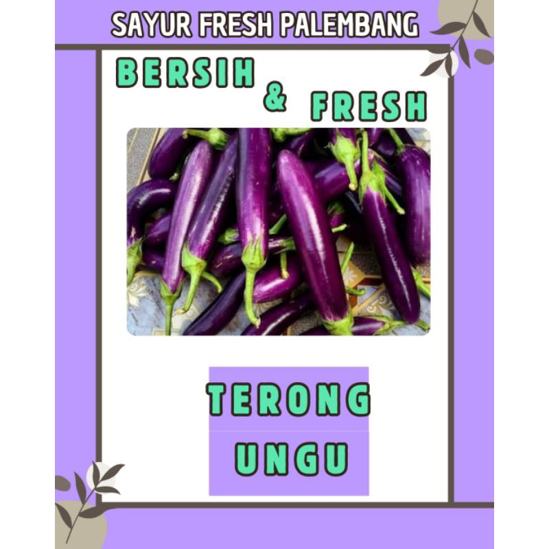 

TERONG UNGU FRESH & BERSIH - PALEMBANG