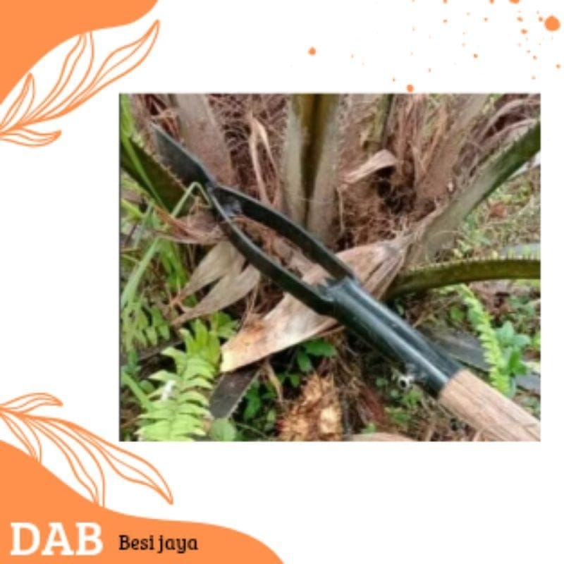 Dodos Kastrasi Dodos Sawit Bahan Baja Asli