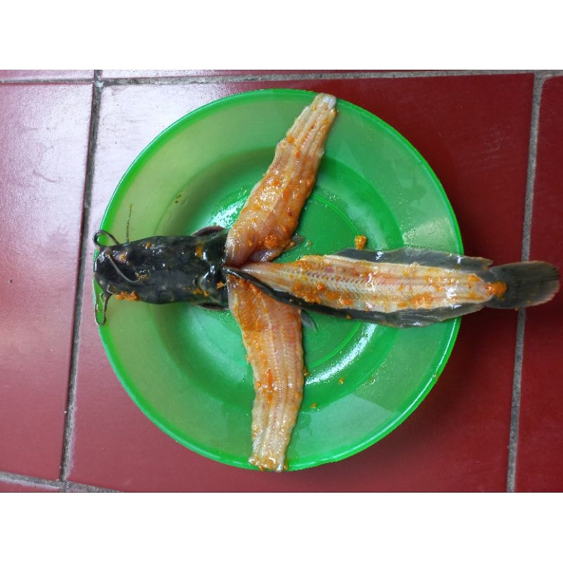 

lele terbang marinasi