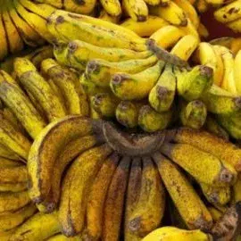 

pisang barangan(kecil)