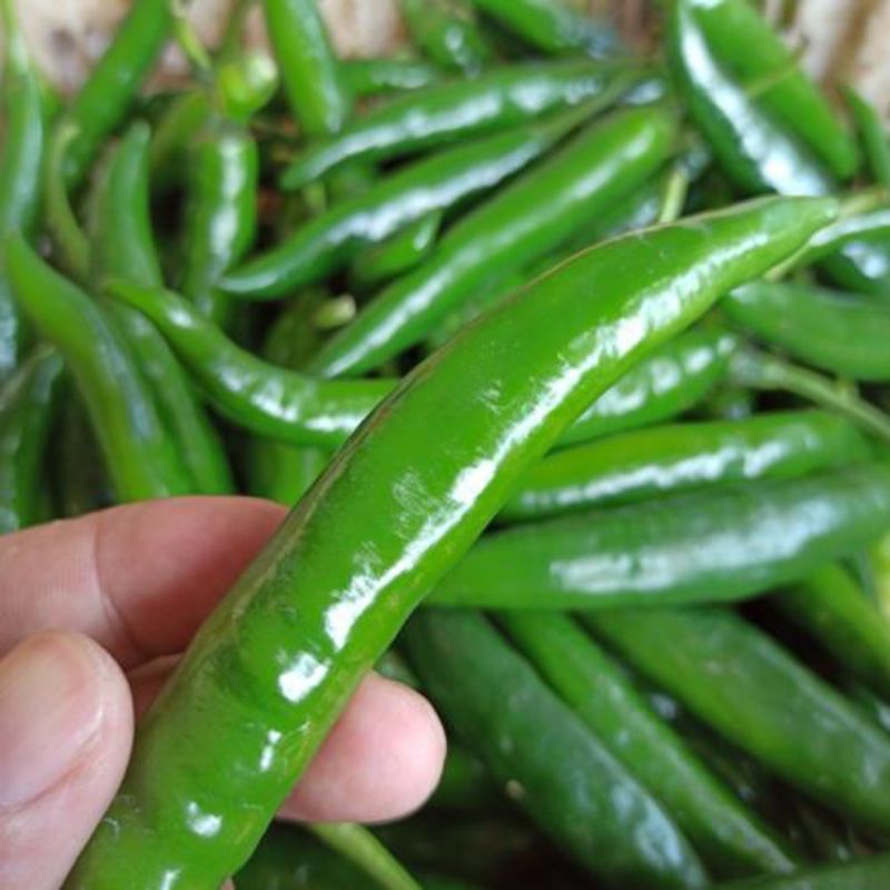 

Cabe TW Hijau Fresh -Sayur omstore