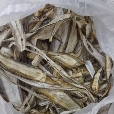 

Kulit Ikan Tonang Kering Siap Goreng Gurih dan Renyah