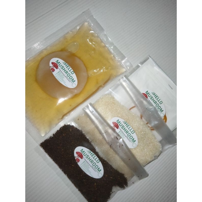 

Paket Pembuatan 1lt Kombucha