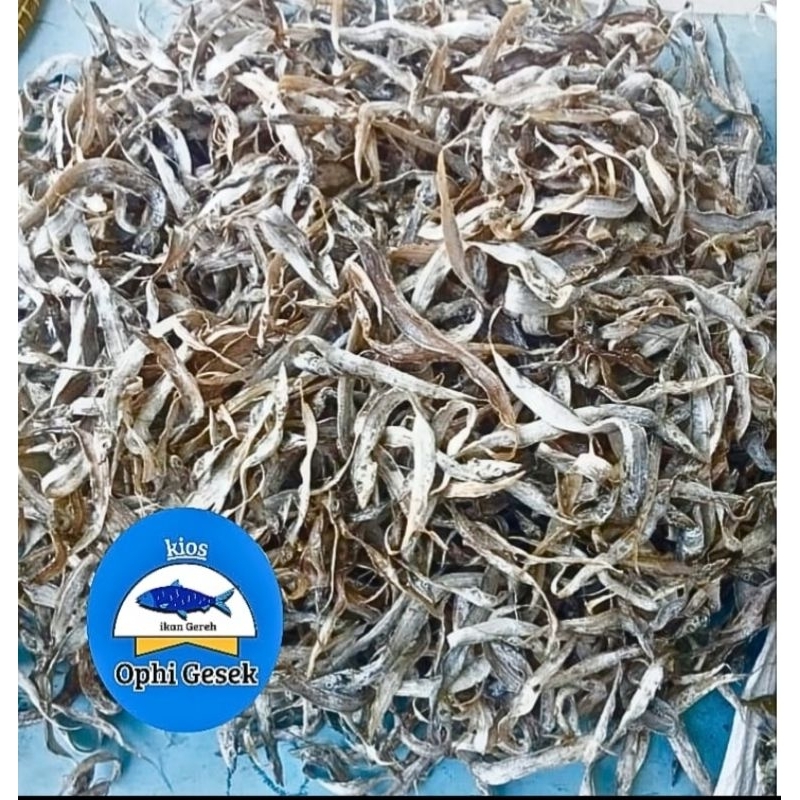 Ikan gereh layur kecil tawar//gesek tawar layur kecil//Ikan kering tawar