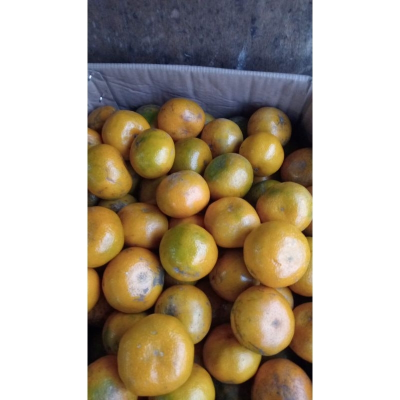 

Medan Mini 1kg – Glowing & Manis Banget