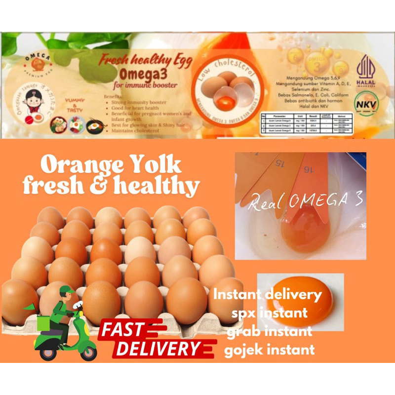 

Telur Omega3 | Telur Omega3 Size Besar