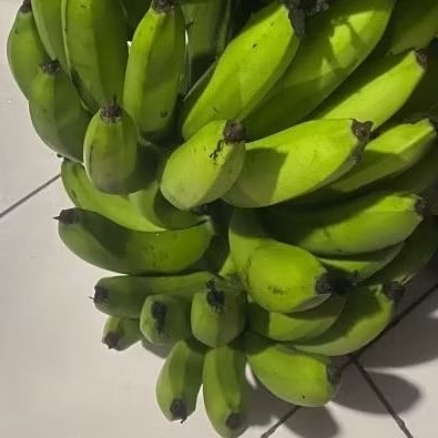

Buah Pisang Mentah AIZA Pisang Bangkaulu