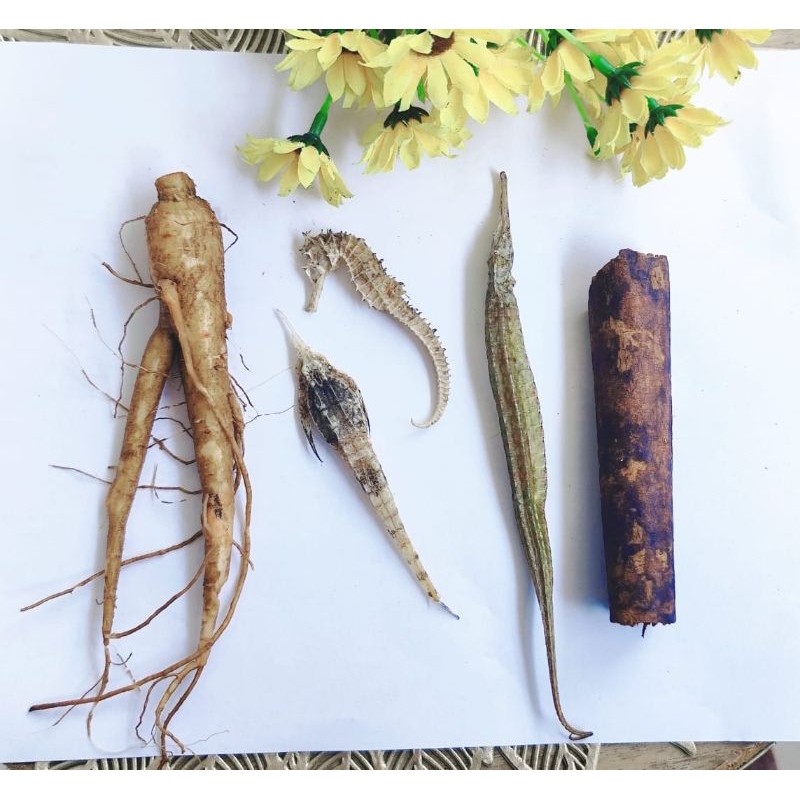 

GINGSENG MERAH SUPER + KUDA LAUT + NAGA LAUT + BURUN LAUT + KAYU AKWAY